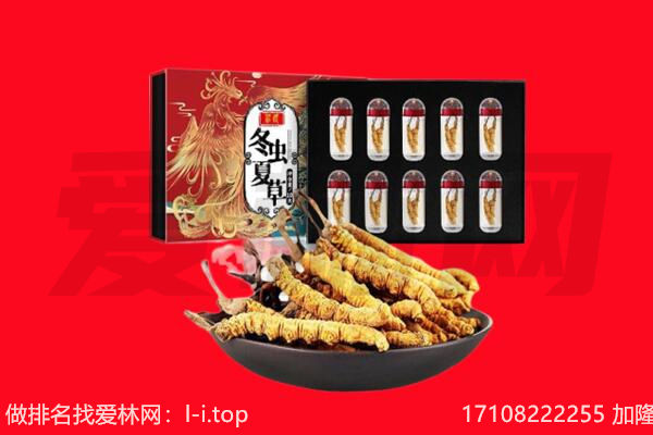 海南市贵德县回收虫草.jpg